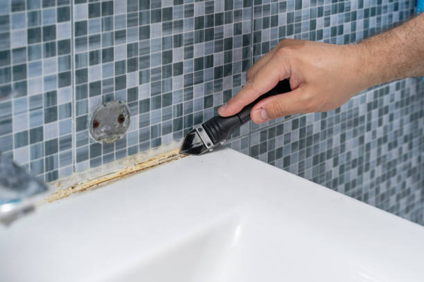 Best White Mold Remediation in Avoca, PA